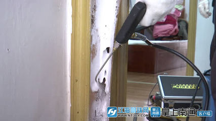 白蟻分飛高峰將至，南通應(yīng)用新技術(shù)提升防治服務(wù)水平