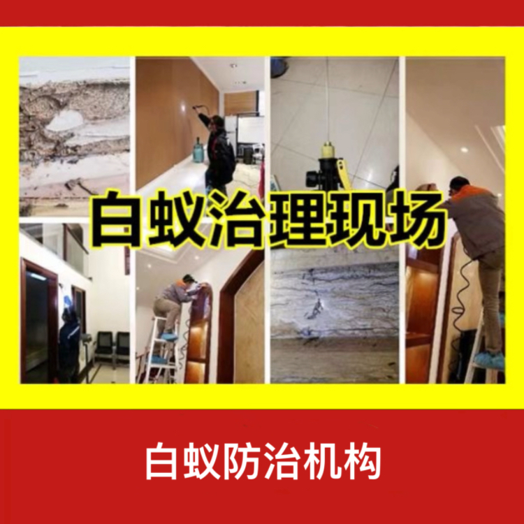 浦口區(qū)專(zhuān)業(yè)白蟻防治服務(wù) 官方指定站點(diǎn)與上門(mén)服務(wù)指南
