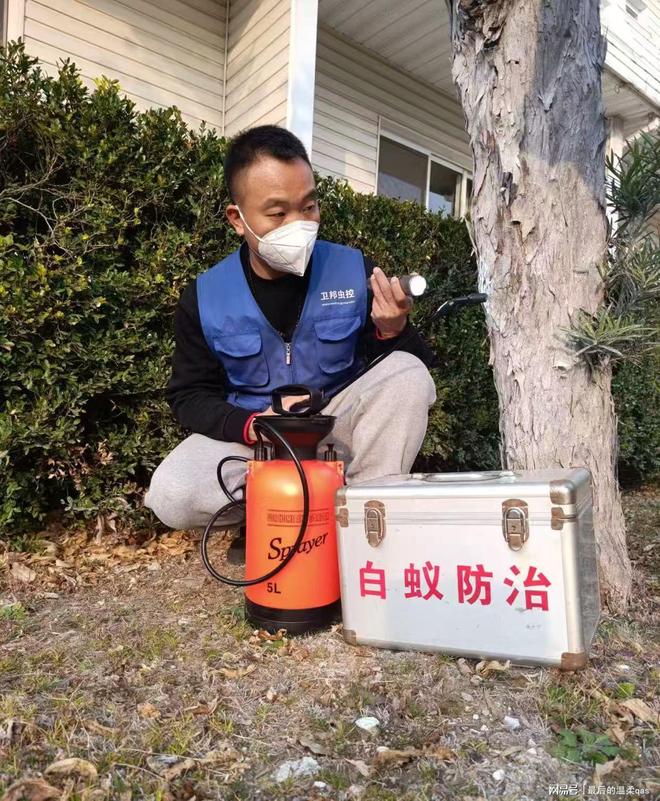 廣州市白蟻防治服務(wù)全指南 專(zhuān)業(yè)消殺，全市縣鎮(zhèn)覆蓋
